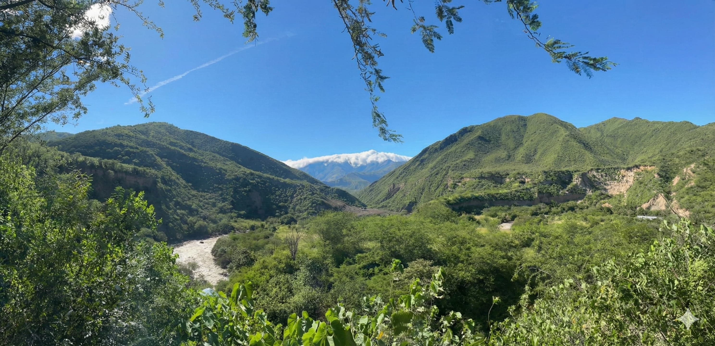 Puerto Remolino y el bosque seco tropical