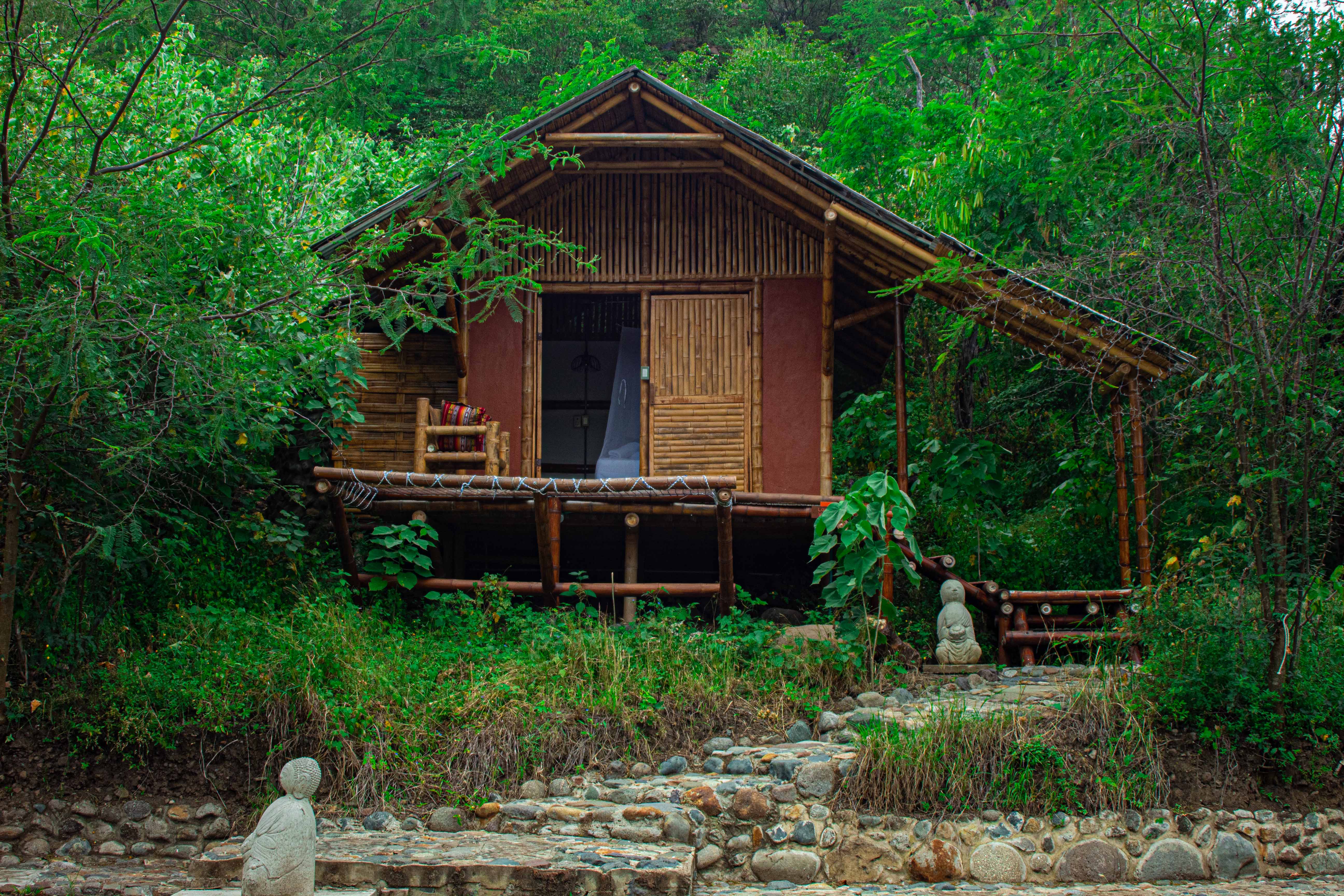 Vista de la Suite Bosque en el bosque seco