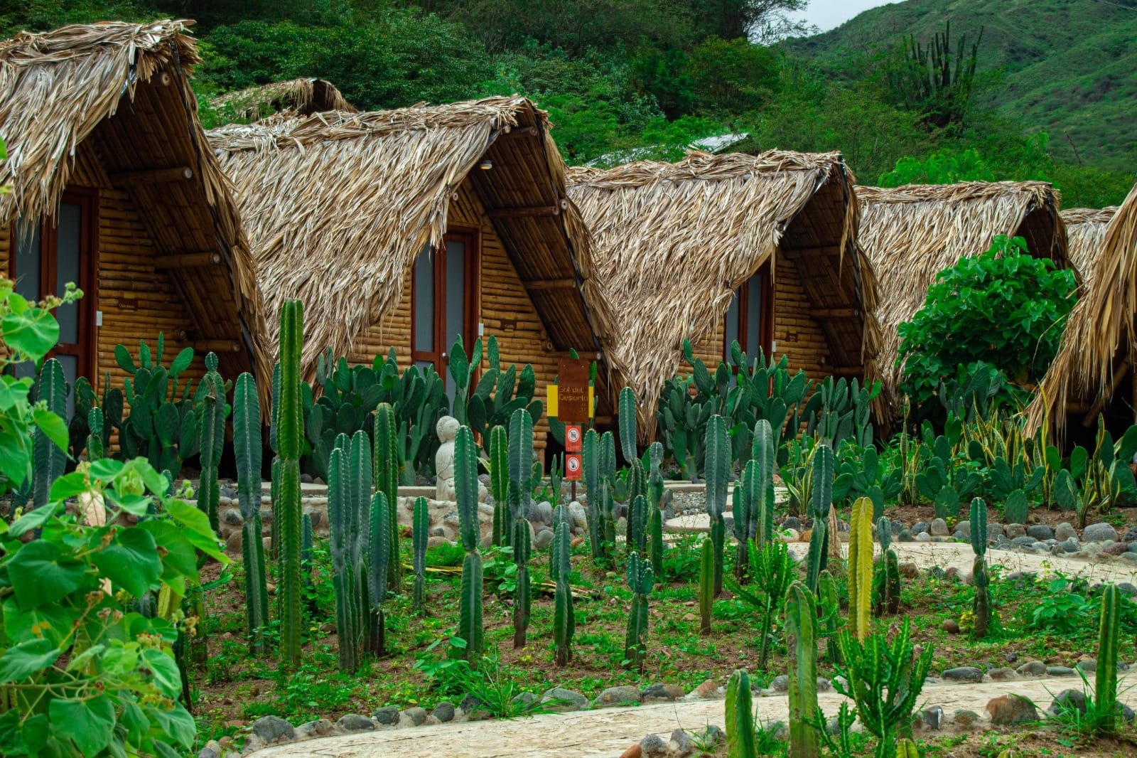 Vista exterior de los refugios Sol del Desierto rodeados de cactus y vegetación