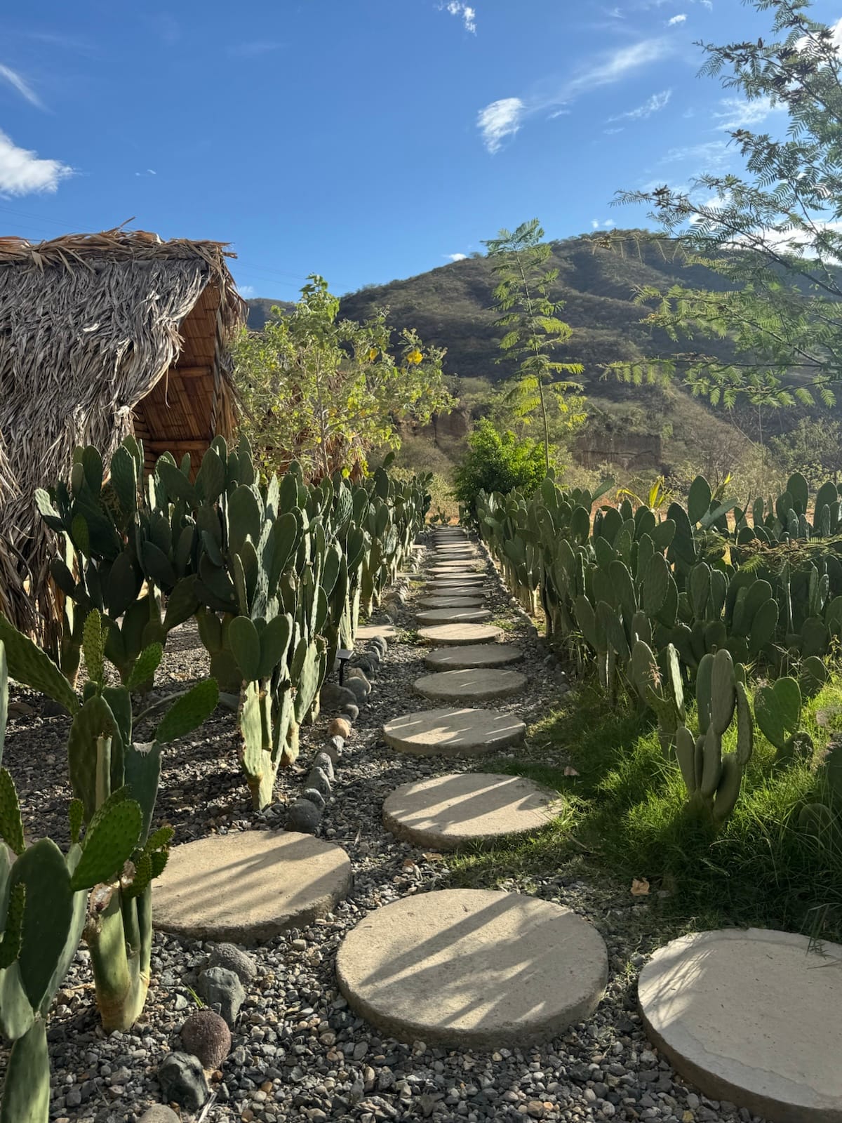 Sendero hacia los refugios Sol del Desierto